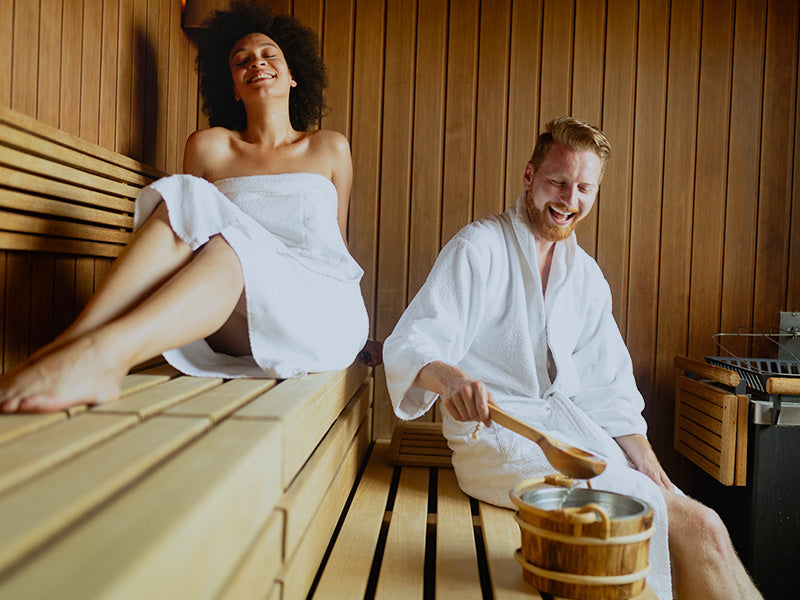 acheter sauna traditionnel, prix sauna traditionnel, sauna interieur, sauna 2 places