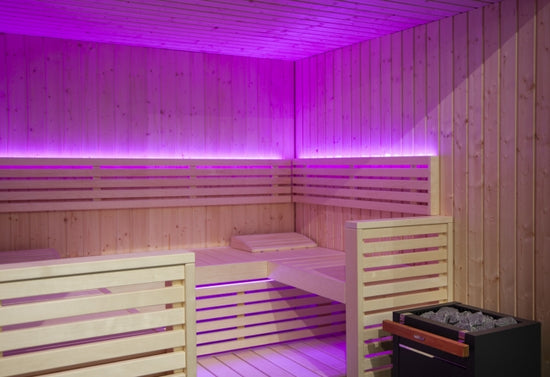 sauna traditionnel interieur, sauna harvia View S2020SV, sauna 5 place, achat sauna, sauna hammam