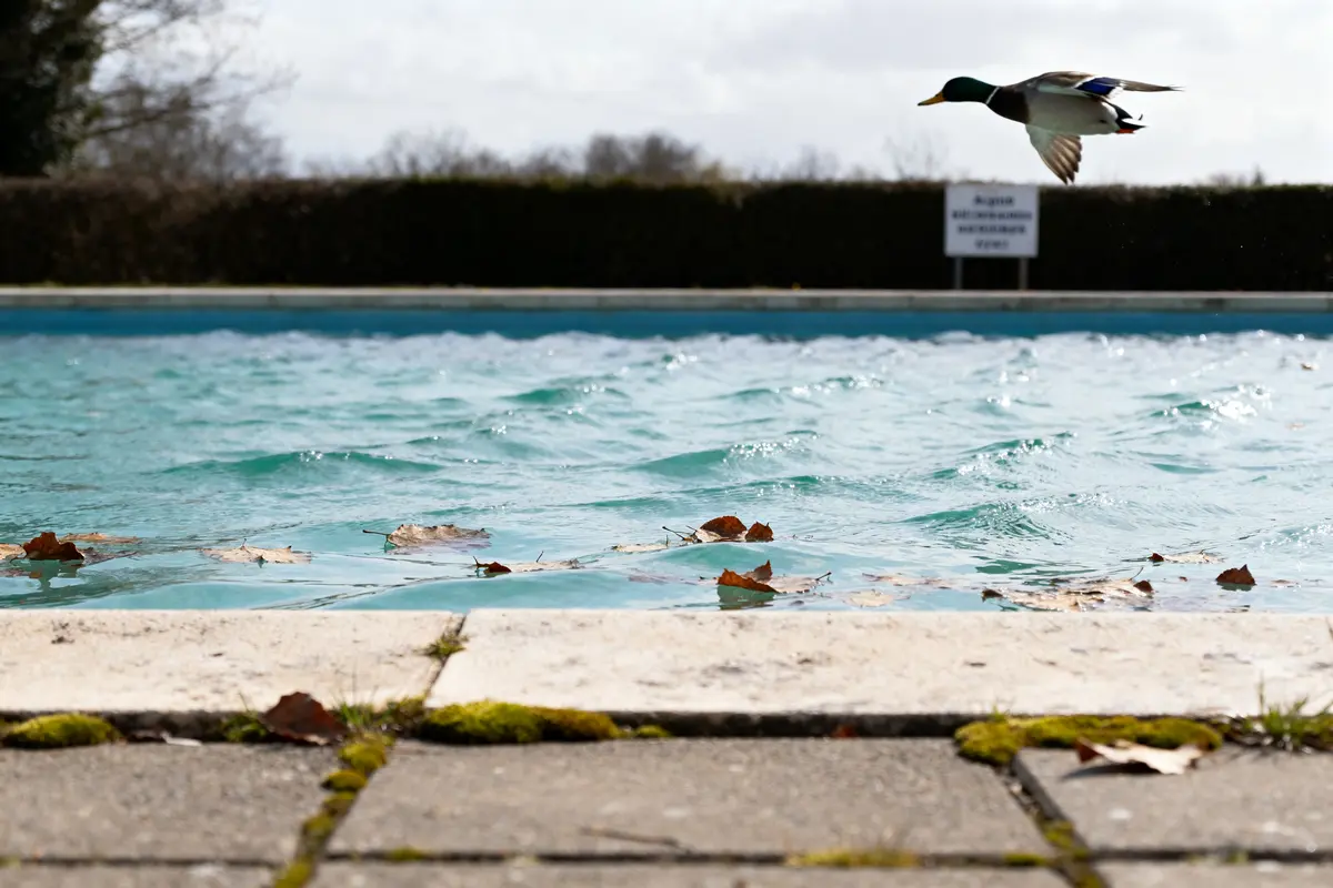 Quand remettre sa piscine en route : guide pratique et étapes clés ?